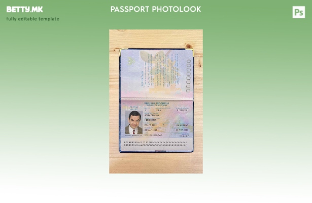 Модерен стил шаблон за изглед на фотографија за пропусница на Индонезија